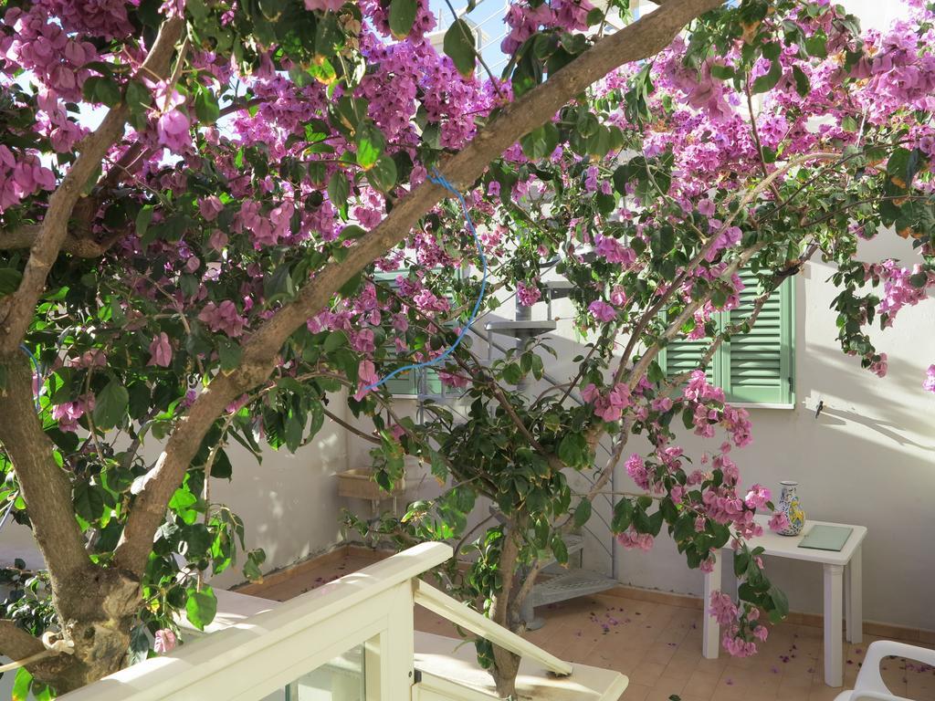 Hotel Casamare 2*